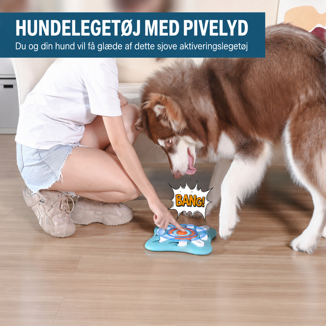 Aktiveringslegetøj til Hund
