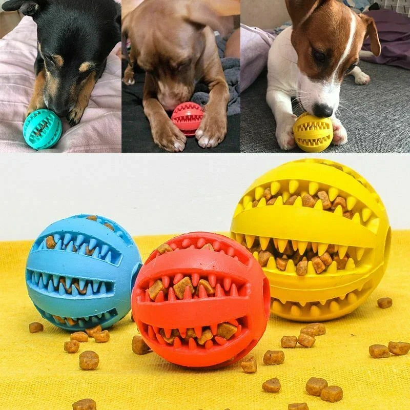 Interaktiv Gummibold til Hund