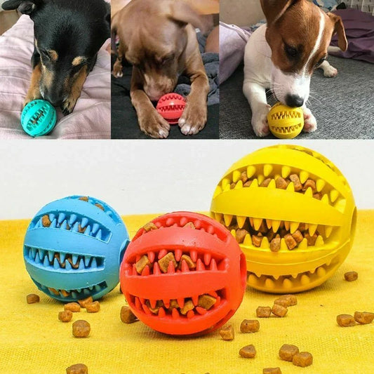 Interaktiv Gummibold til Hund