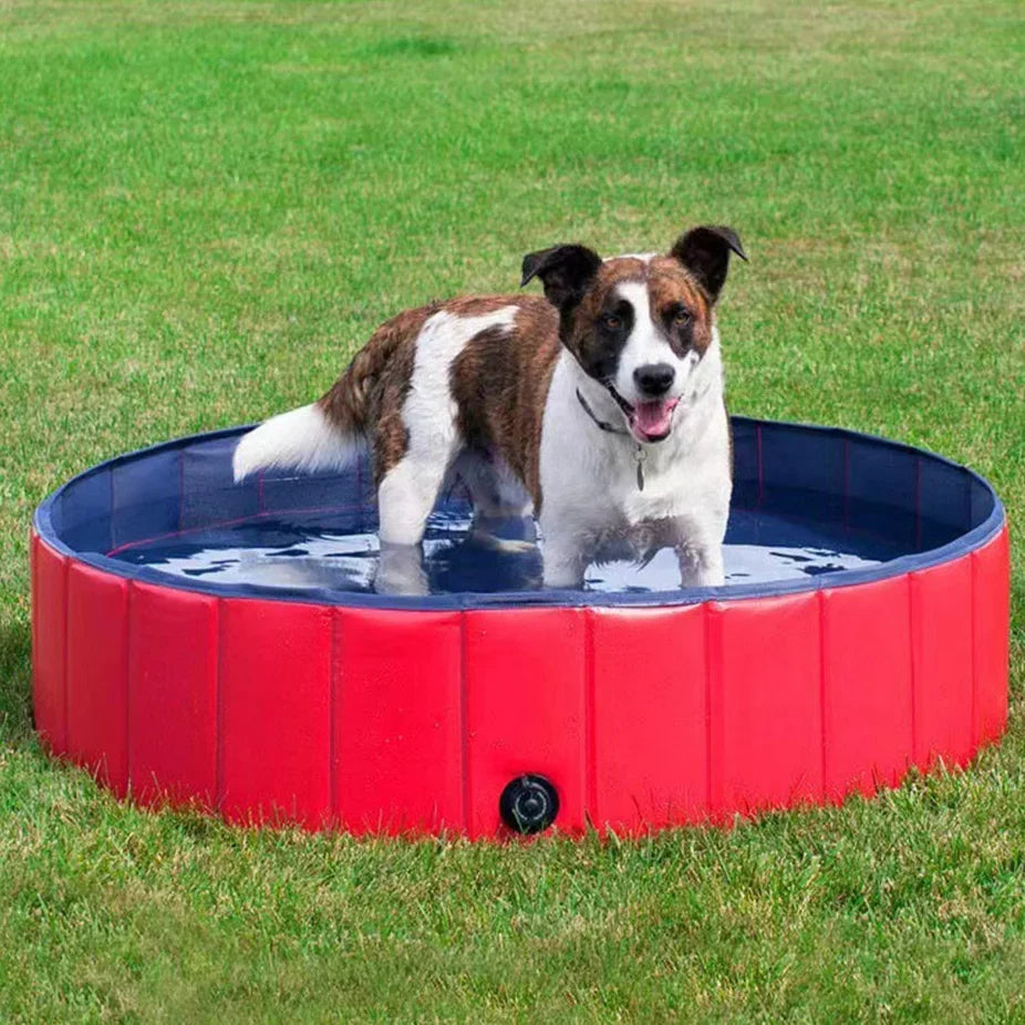 Foldbar Hundepool