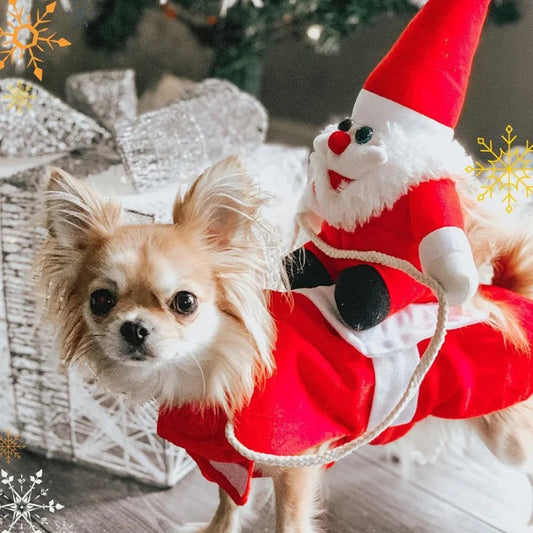 Ridende Julemand Kostume til Hunde