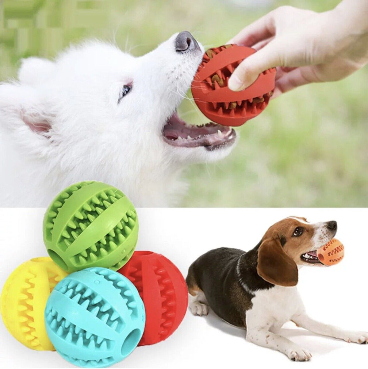 Interaktiv Gummibold til Hund