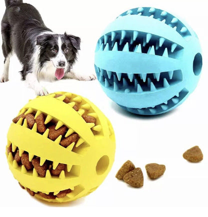 Interaktiv Gummibold til Hund
