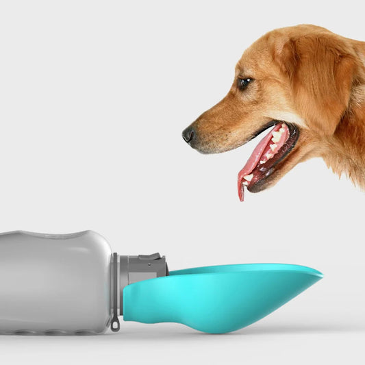 Transportabel Vandflaske til Hunde