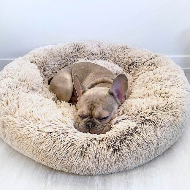 Beroligende Hundeseng | Denbark Anti-Stress