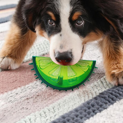 Kølende Tyggelegetøj til Hund - Fryseegnet