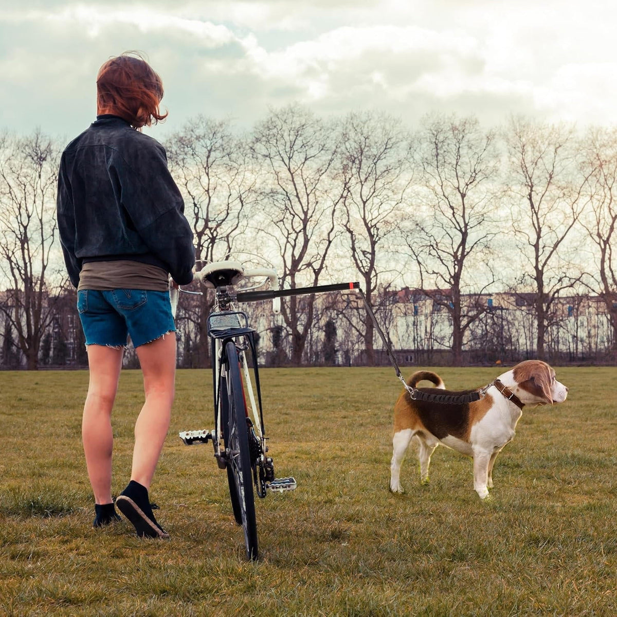 Cykel-Trækline til Hunde