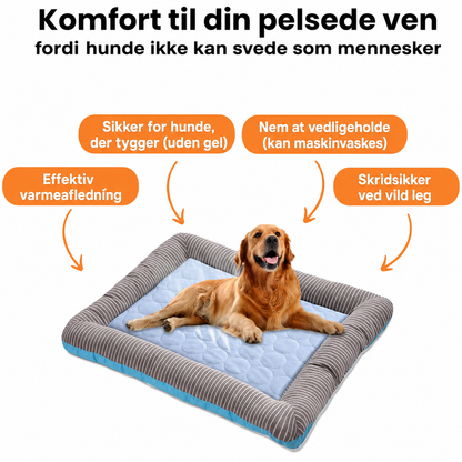 Køleseng til Hunde