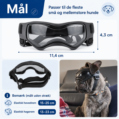 Denbark Hundebriller – UV-beskyttelse mod Vind og Sol