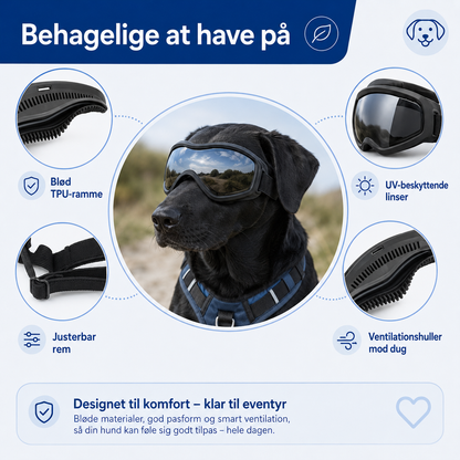 Denbark Hundebriller – UV-beskyttelse mod Vind og Sol