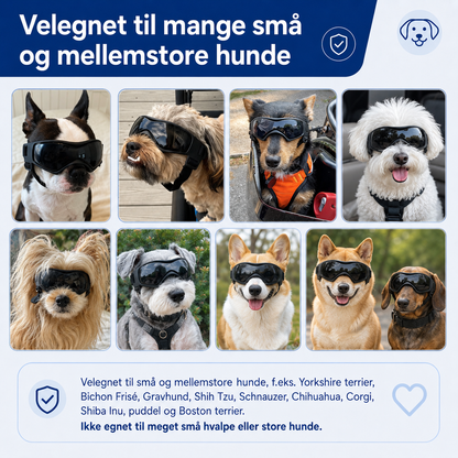 Denbark Hundebriller – UV-beskyttelse mod Vind og Sol