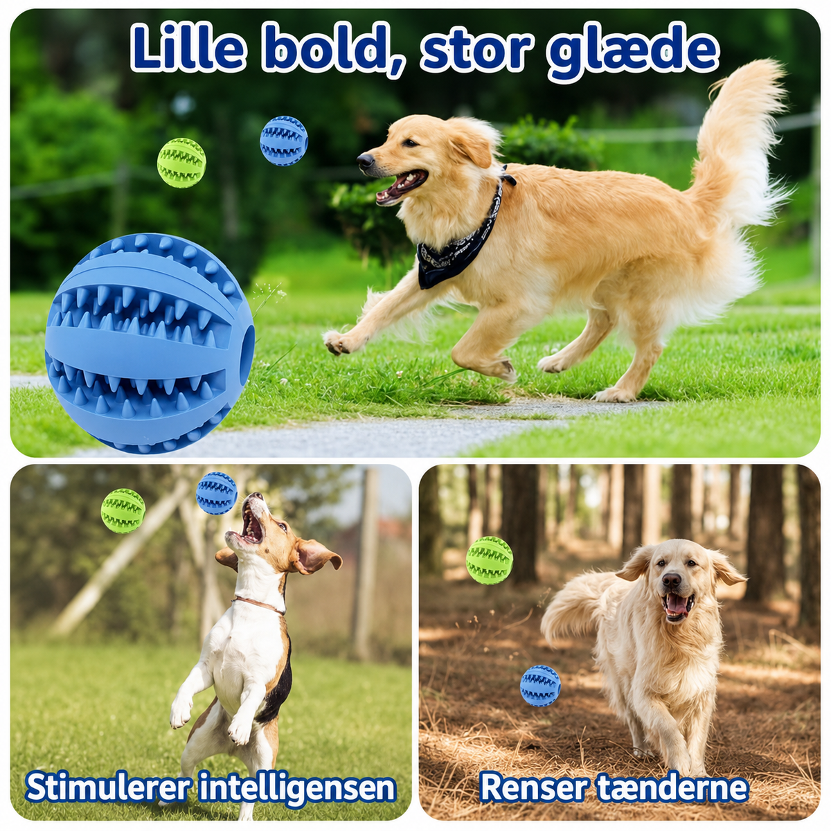 Interaktiv Gummibold til Hund