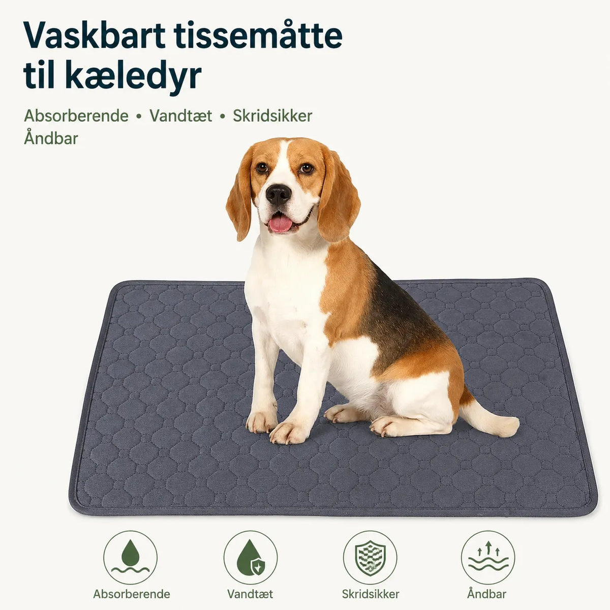 Hundepuder | Engangs og Genanvendelige Pudepuder