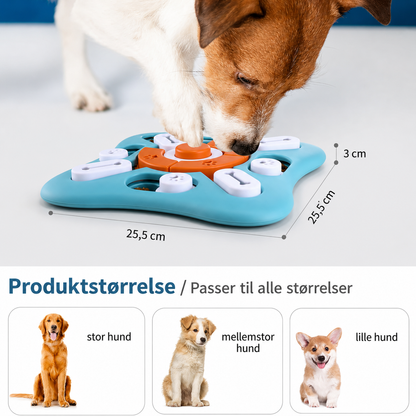 Aktiveringslegetøj til Hund