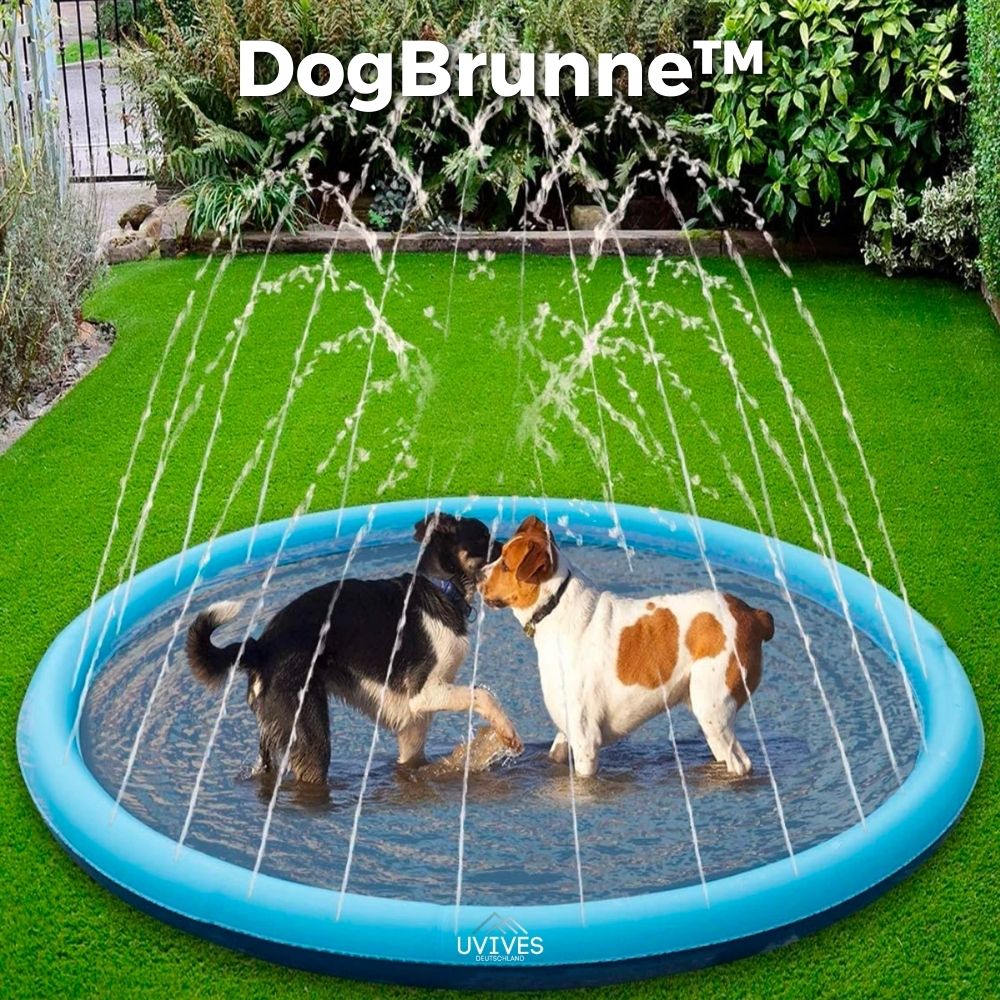 Vandsprinklermåtte til hunde med slangetilslutning