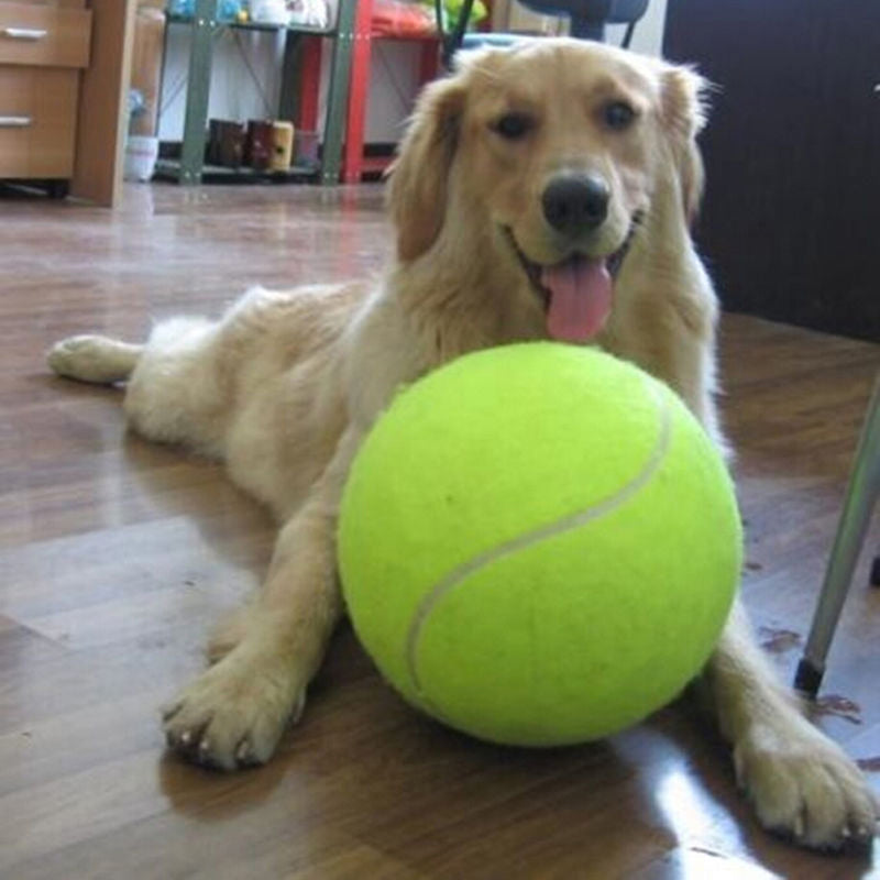 Kæmpe Tennisbold til Hund - XXL - 24 cm i Diameter