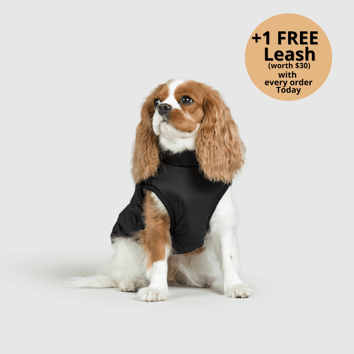 3-i-1 vinterjakke til hund med integreret sele – produktbillede 20