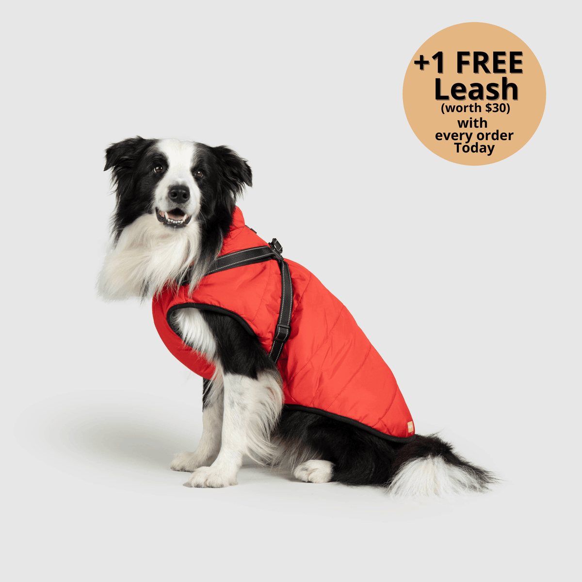 3-i-1 vinterjakke til hund med integreret sele – produktbillede 4
