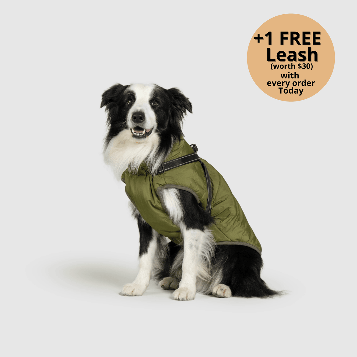 3-i-1 vinterjakke til hund med integreret sele – produktbillede 12