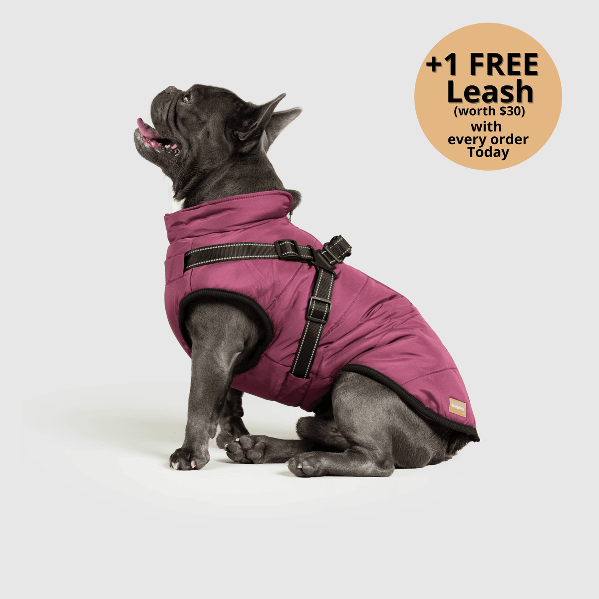 3-i-1 vinterjakke til hund med integreret sele – produktbillede 15