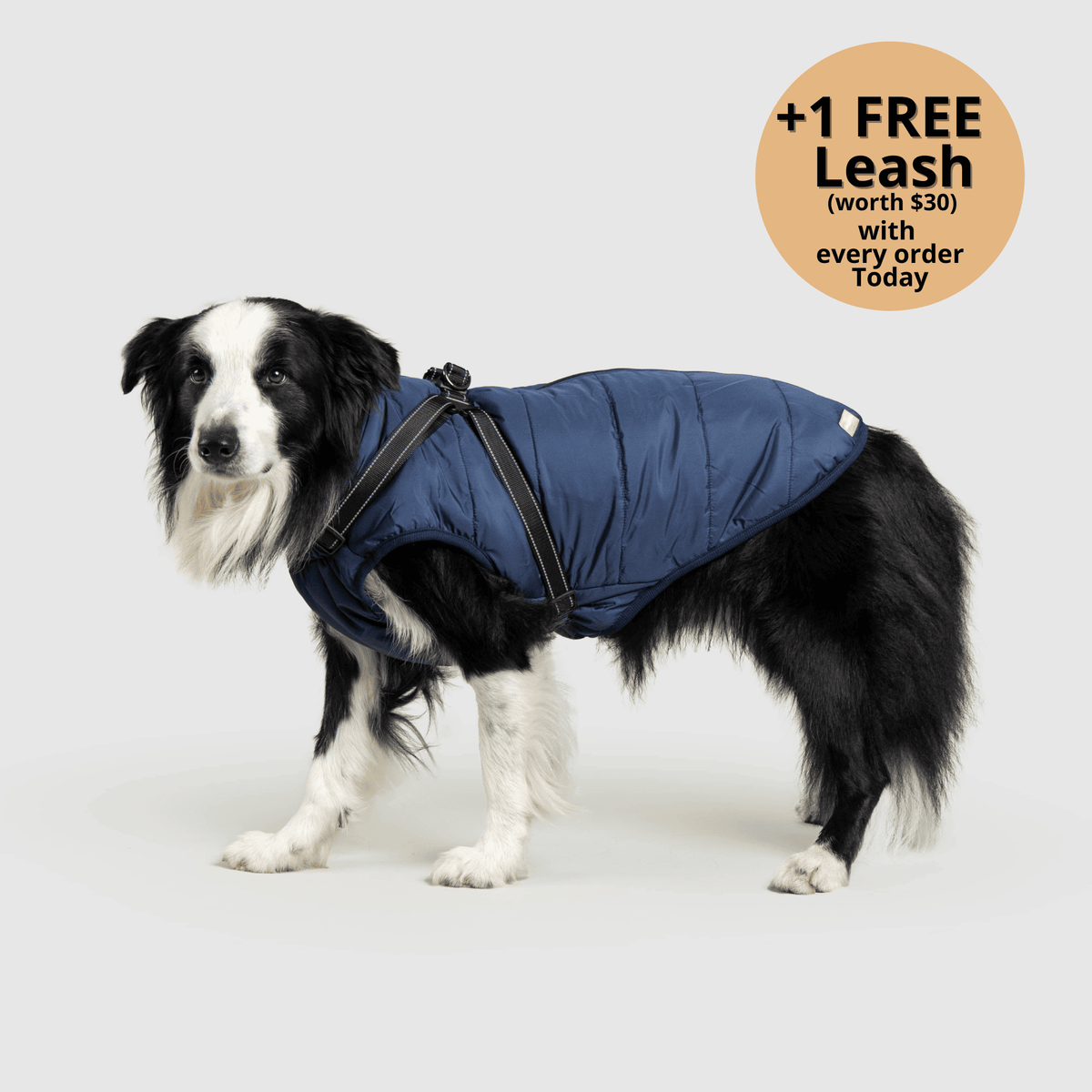 3-i-1 vinterjakke til hund med integreret sele – produktbillede 8