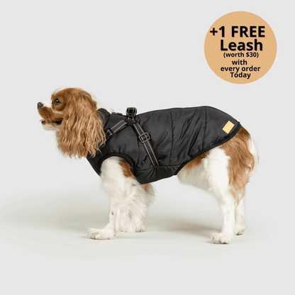 3-i-1 vinterjakke til hund med integreret sele – produktbillede 21