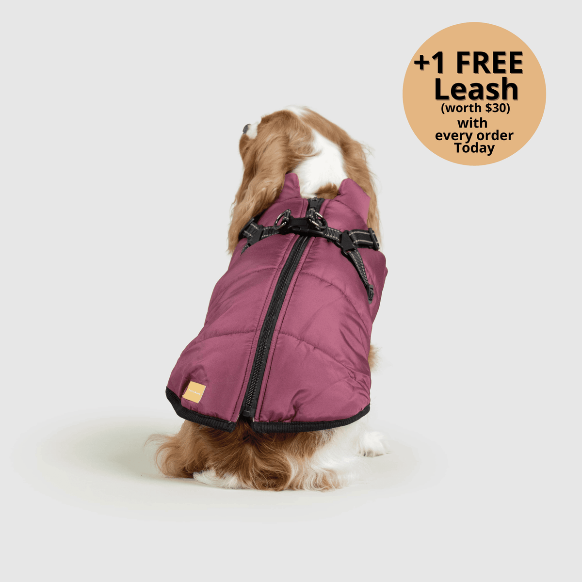 3-i-1 vinterjakke til hund med integreret sele – produktbillede 13