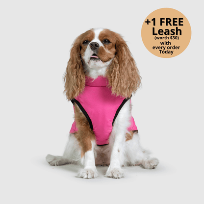 3-i-1 vinterjakke til hund med integreret sele – produktbillede 17