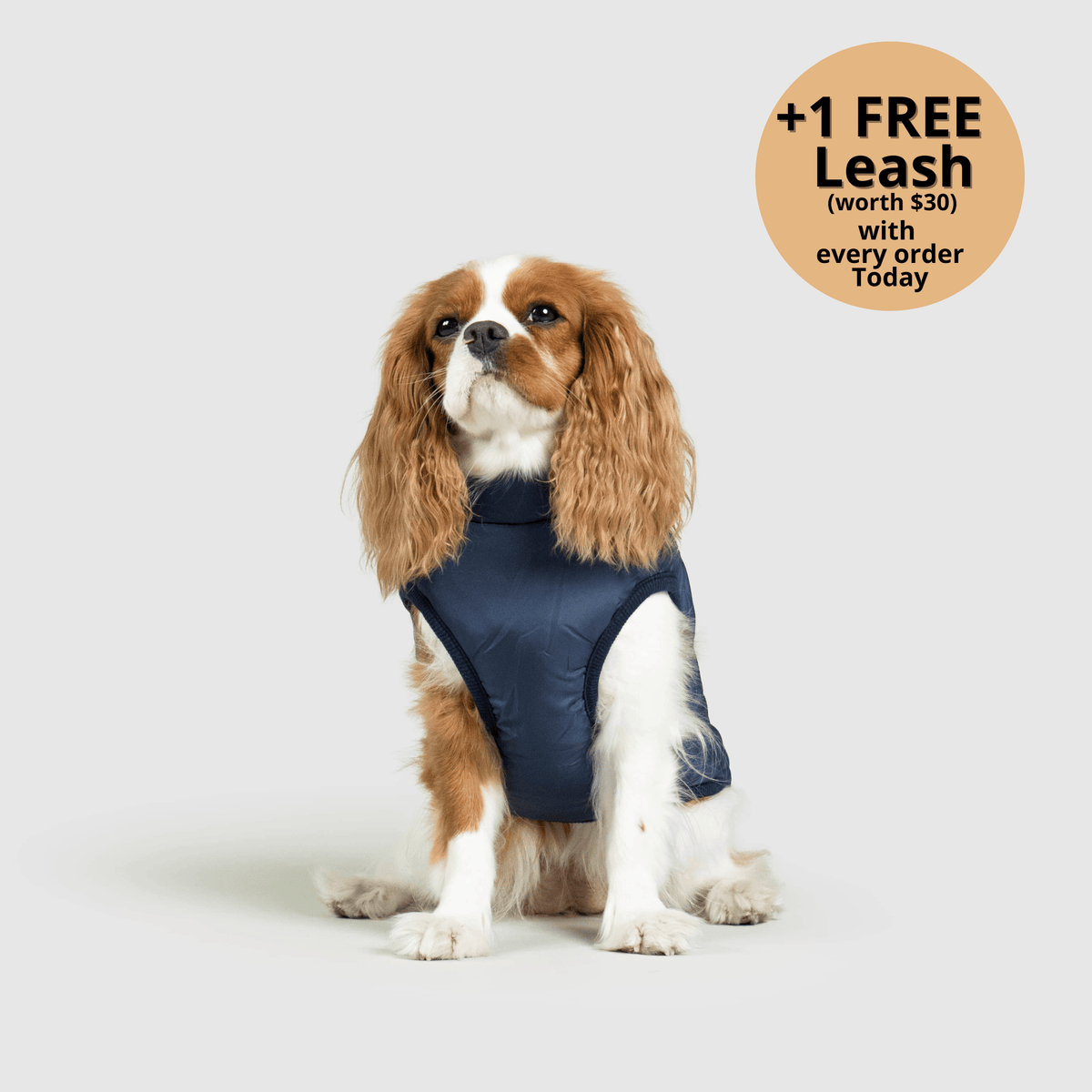 3-i-1 vinterjakke til hund med integreret sele – produktbillede 5