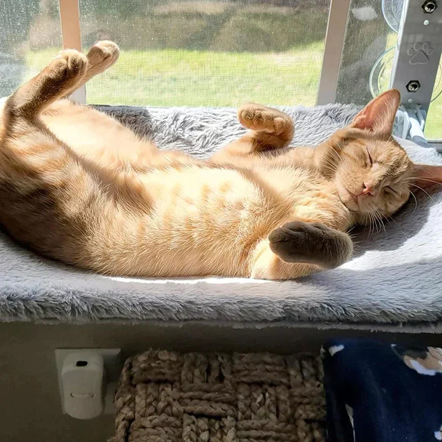 Blød hængekøje til katte