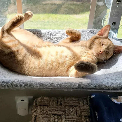 Blød hængekøje til katte