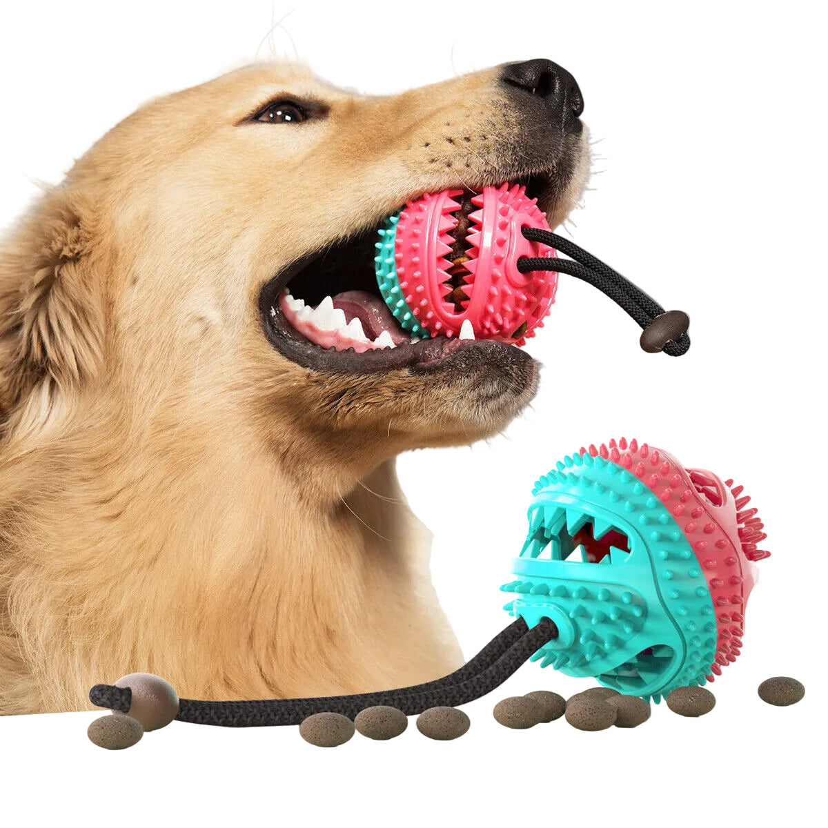 Sugekopbold til hund med beholder til godbidder