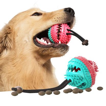 Sugekopbold til hund med beholder til godbidder