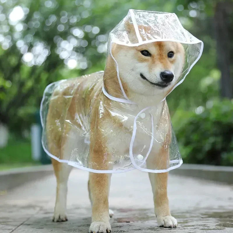 Vandtæt Regnfrakke til Hund – Transparent