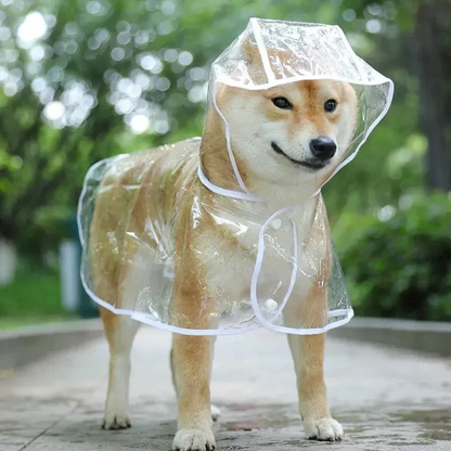 Vandtæt Regnfrakke til Hund – Transparent