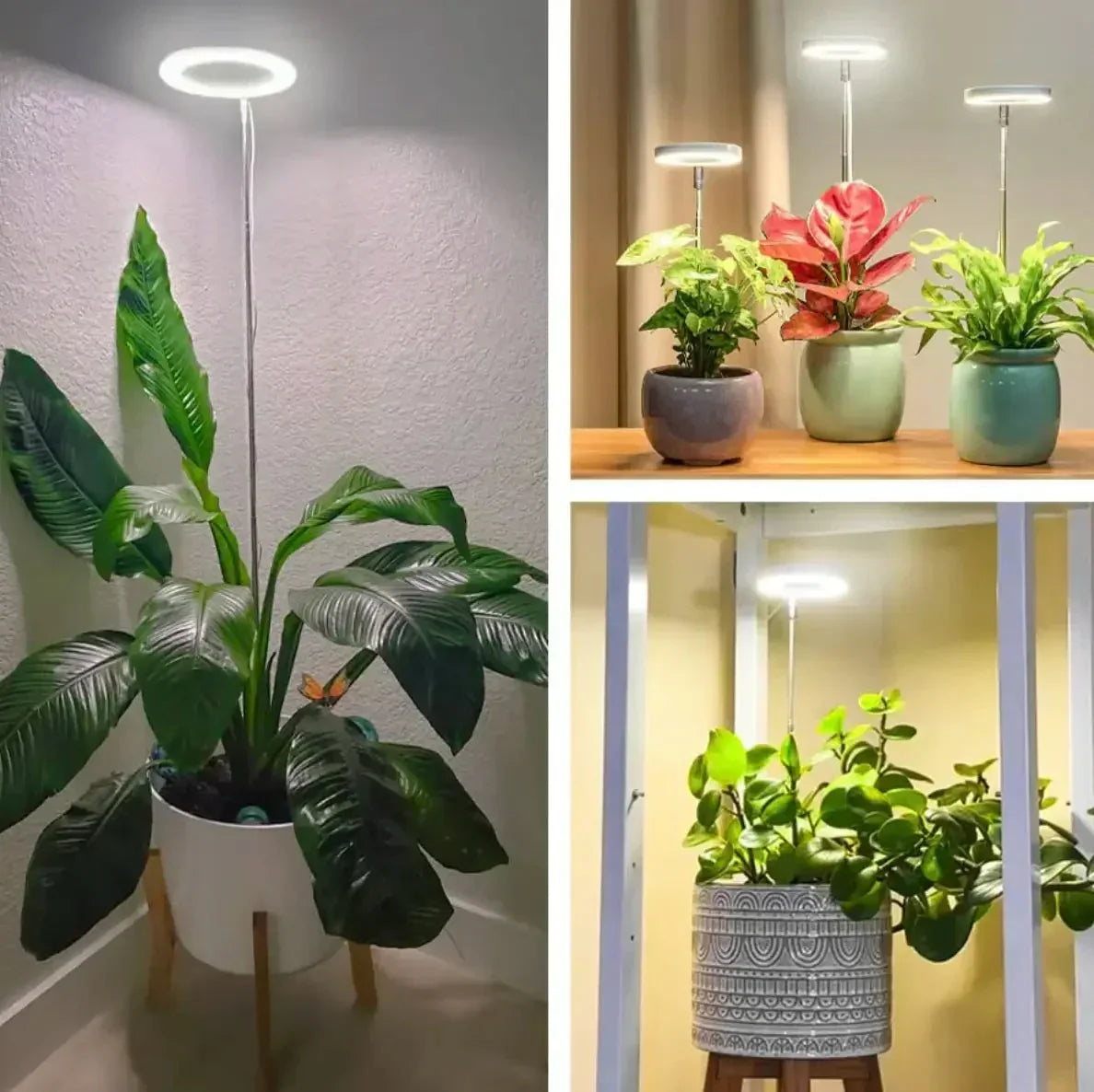 Fuldspektret plantelampe med timer og dæmpning
