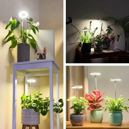 Fuldspektret plantelampe med timer og dæmpning