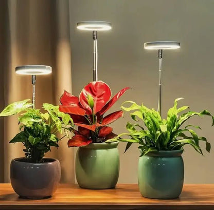 Fuldspektret plantelampe med timer og dæmpning