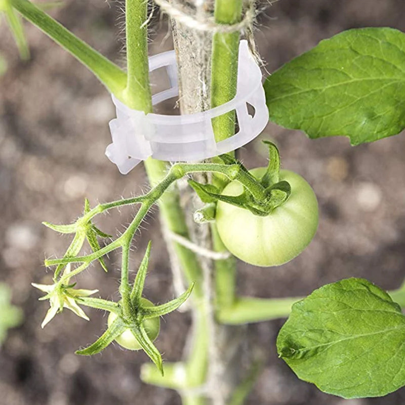 Genanvendelige plantestøtteklemmer i plast – 1 tomme
