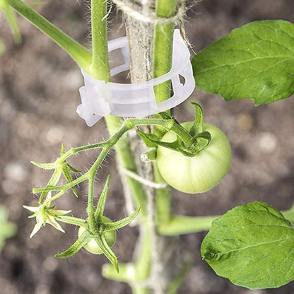 Genanvendelige plantestøtteklemmer i plast – 1 tomme