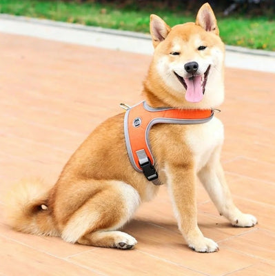 Justerbar åndbar sele med snor til hund eller kat – billede 4