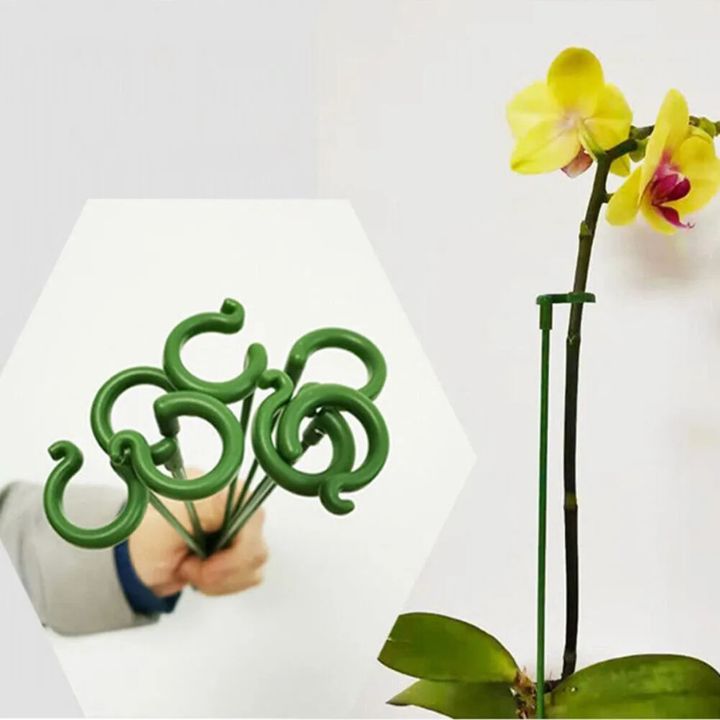 Vejrbestandig plantestøtte til blomster og grøntsager – 20 stk.