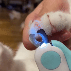 LED-negleklipper til hunde og katte