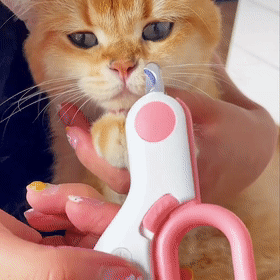 LED-negleklipper til hunde og katte
