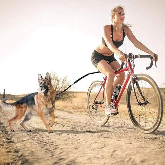 Cykel-Trækline til Hunde