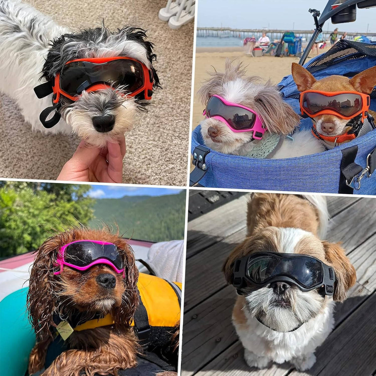 Denbark Hundebriller – UV-beskyttelse mod Vind og Sol