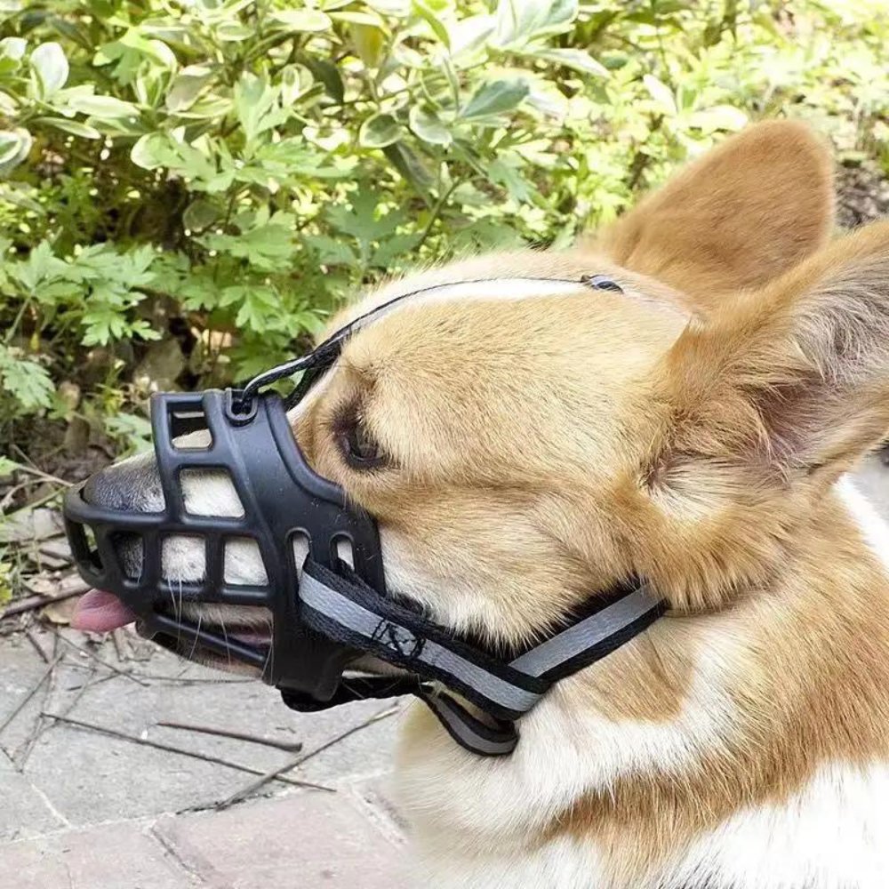 Justerbar mundkurv til hunde
