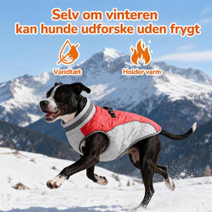 Vinterjakke til Hunde med Reflekser og Seleåbning