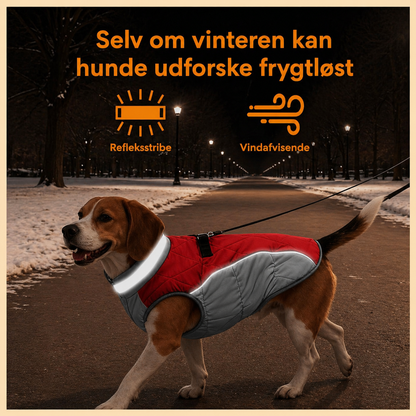 Vinterjakke til Hunde med Reflekser og Seleåbning